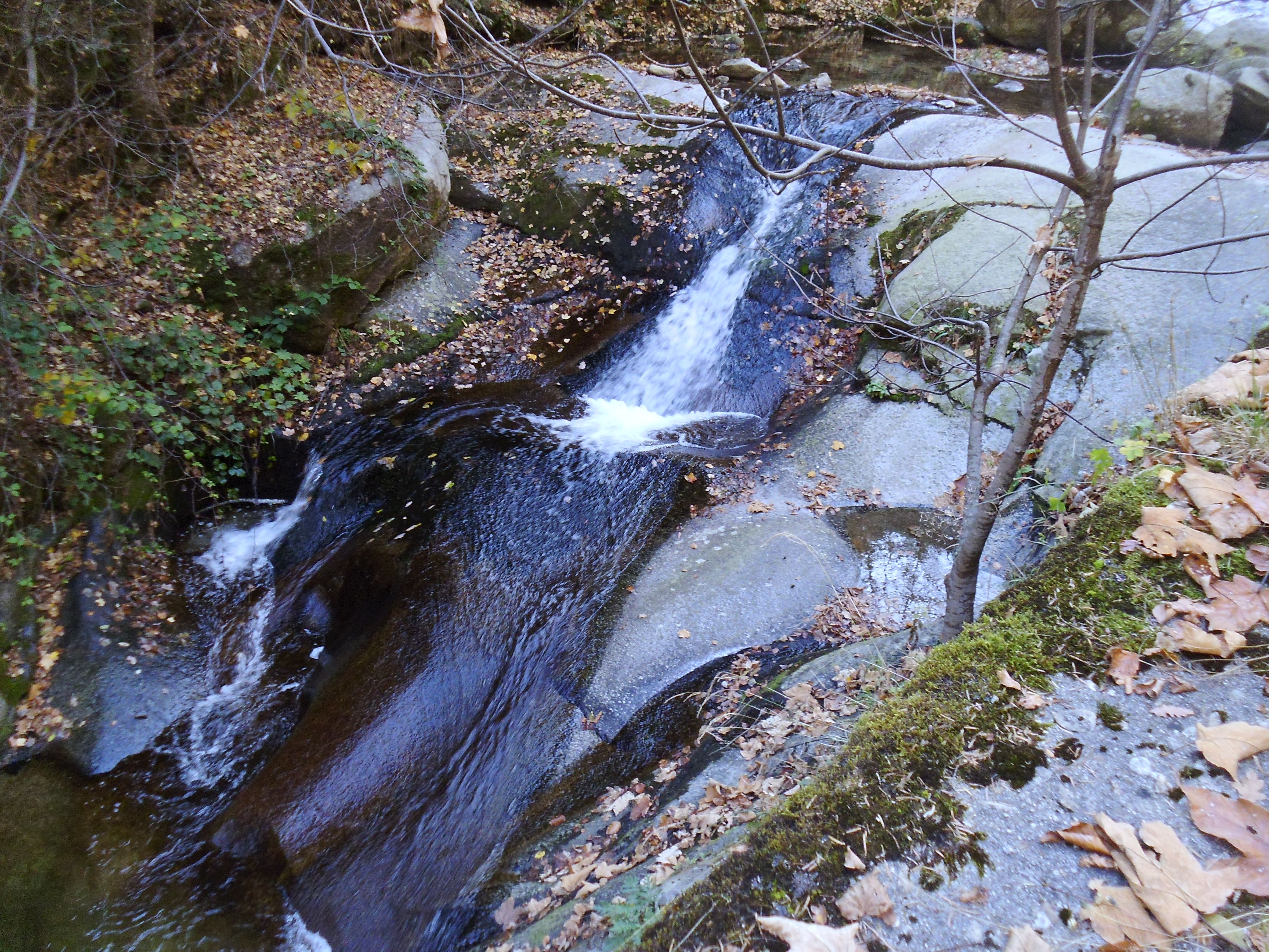 P1030095.JPG